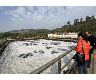 復合碳源與總氮降解劑在電鍍廢水中的應用—庫巴魯