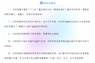 “鋁灰/副產鹽酸資源化利用項目”專家論證會