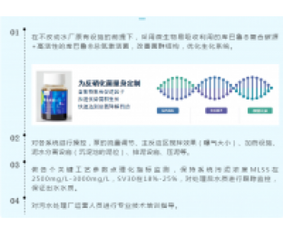 電池化工廢水總氮處理案例